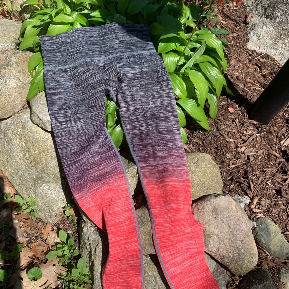 Ombré Cotton Yoga Pants